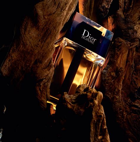 dior 2020 ss|Dior cologne 2020.